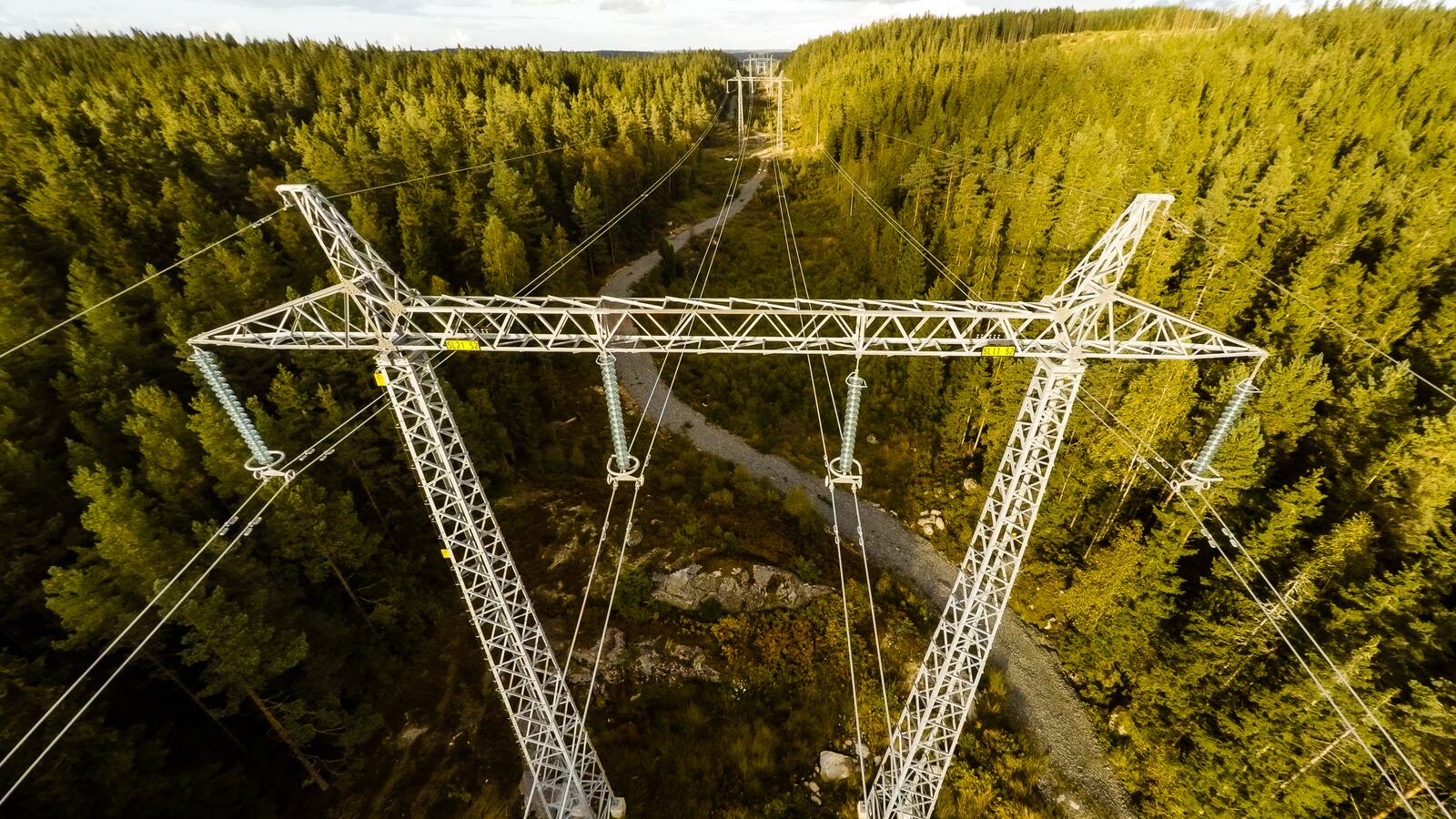 Flygbild över en av Svenska kraftnäts stamnätsledningar, där en kraftledningsstolpe står i en ledningsgata genom skogen